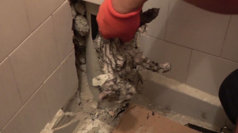Tuvalette-mahsur-kalan-yavru-kedi-kurtarıldı.jpg