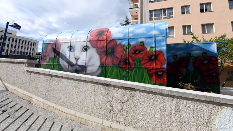 Ankara-nın-gri-duvarları-ressamların-dokunuşlarıyla-artık-rengarenk.jpg