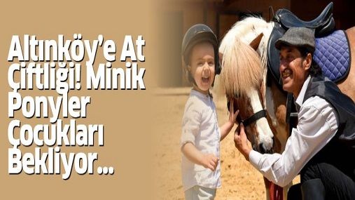 Altınköy-e-At-Çiftliği-Minik-Ponyler-Çocukları-Bekliyor.jpg