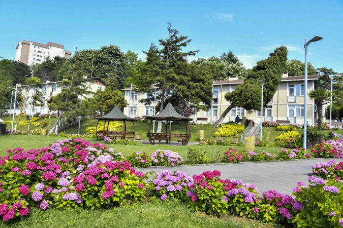 Ankara'dan Ücretsiz Akçakoca'ya Tatil Başladı! Tam Tamına 1 Hafta.... Peki, Ankara Ücretsiz Tatil Başvurusu Nasıl, Kimler Yapabilir? 24