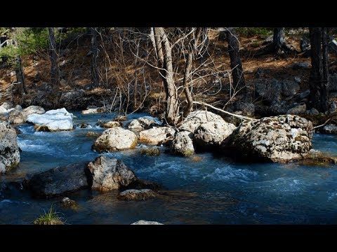 Çubuk Kamp Alanları  - Ankara Kamp Alanları 5