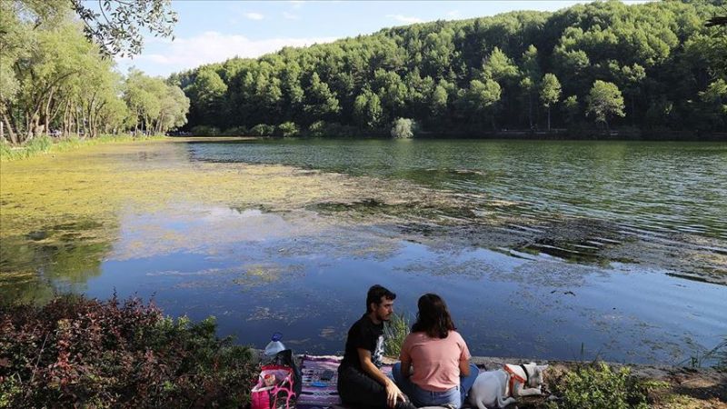Çubuk Kamp Alanları  - Ankara Kamp Alanları 3