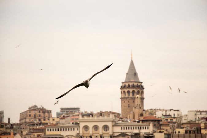 Galata Kulesi Neden Yapıldı? İşte Galata Kulesi'nin Gizemli Hikayesi... 9