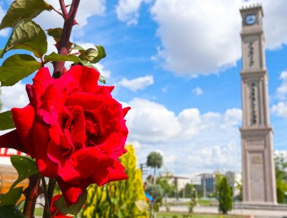 Sincan İlçesinde Gezilecek Yerler! Ankara Sincan'da Neler Var? İşte Harikalar Diyarı, Masal Adası, Evcil Hayvanlar Parkı, Matematik Müzesi... 10