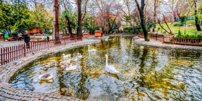 Mehmet Akif Ersoy Evi nerede? Ankara Mehmet Akif Ersoy Edebiyat Müze Kütüphanesi Nerede, Nasıl Gidilir? 8