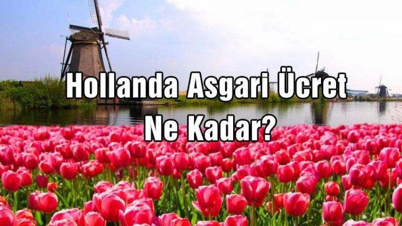 Hollanda Asgari Ücretle Ne Kadar? Hollanda'da Ekmek Ne Kadar 2025? Hollanda Mı Ucuz, Türkiye Mi Ucuz? 2