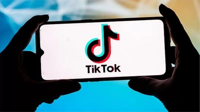 TikTok’tan Ne Kadar Para Kazanılıyor? İşte Bir Günde TikTok’tan Kazanılan Paralar… 1