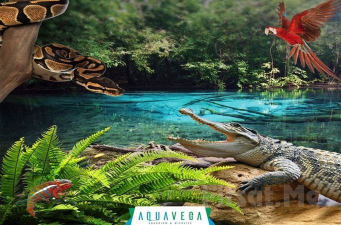 Ankara Aqua Vega Akvaryum Nerede, Nasıl Gidilir? Giriş Ücreti Mi? 2