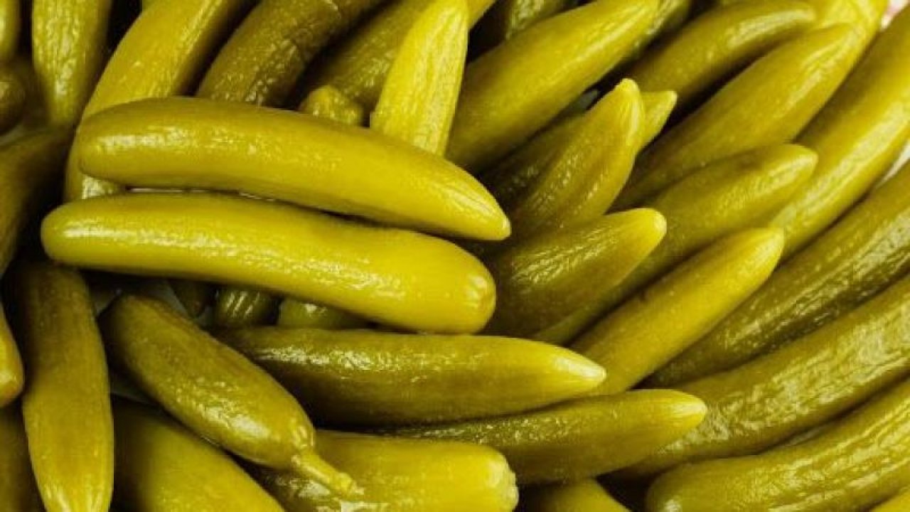 Ankara Çubuk Turşusunun 100 Yıllık Sırrı Ortaya Çıktı! Her Derde Deva! Probiyotik Kaynağı, Kan Şekeri ve Kilo Kontrolü