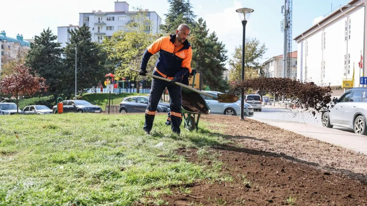 Anayasa Parkı'nda Yeşil Alan Düzenlemeleri Hızla Sürüyor