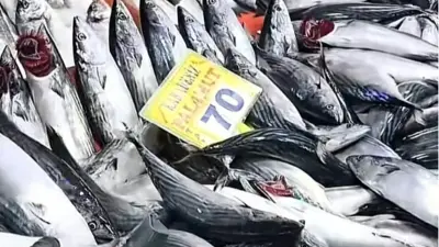 Ankaralı Balık Severler Dikkat: Tarihi Ulus Hali'nde Palamut Bollaştı... 50 TL, 70 TL, 100 TL!