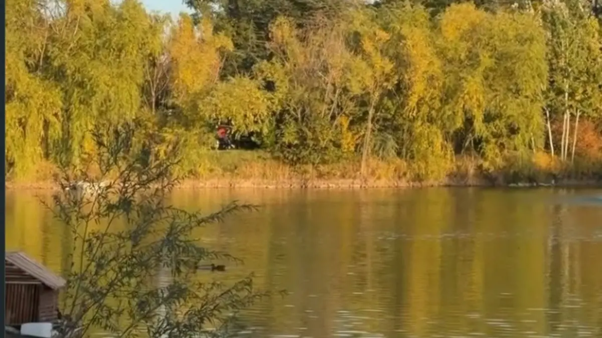 Ankara'nın Merkezinde Saklı Cennet! Golf , Saklı Gölü ve Zengin Doğası... Milli Botanik Bahçesi Nerede?