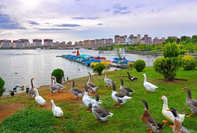 Ankara'nın En İyi Çocuk Parkları! Ankara'da Çocuklarla Gezilecek En İyi Eğlence Merkezleri?